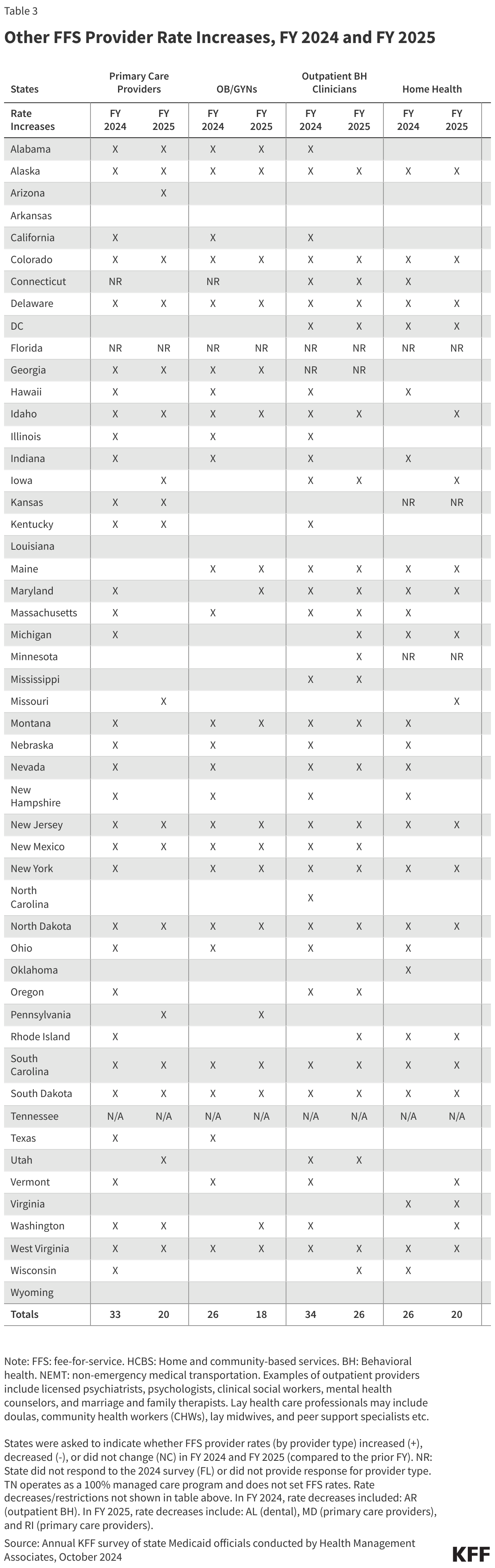 Other FFS Provider Rate Increases, FY 2024 and FY 2025